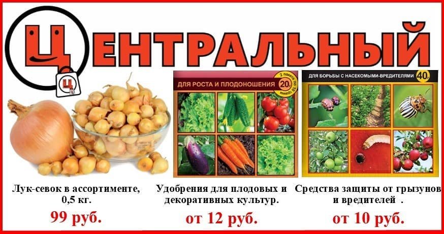 Магазин Семена Йошкар Ола На Центральном Рынке Магазин Семена Йошкар Ола На Центральном Рынке