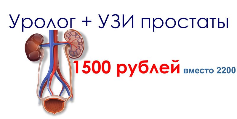 Узи простаты видеоурок Узи простаты видеоурок