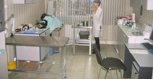 Детская поликлиника структура задачи принципы работы