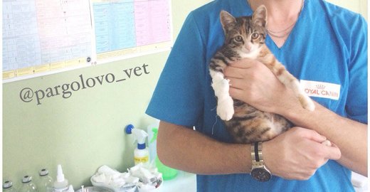 Стоматологическая клиника на плехановской в воронеже