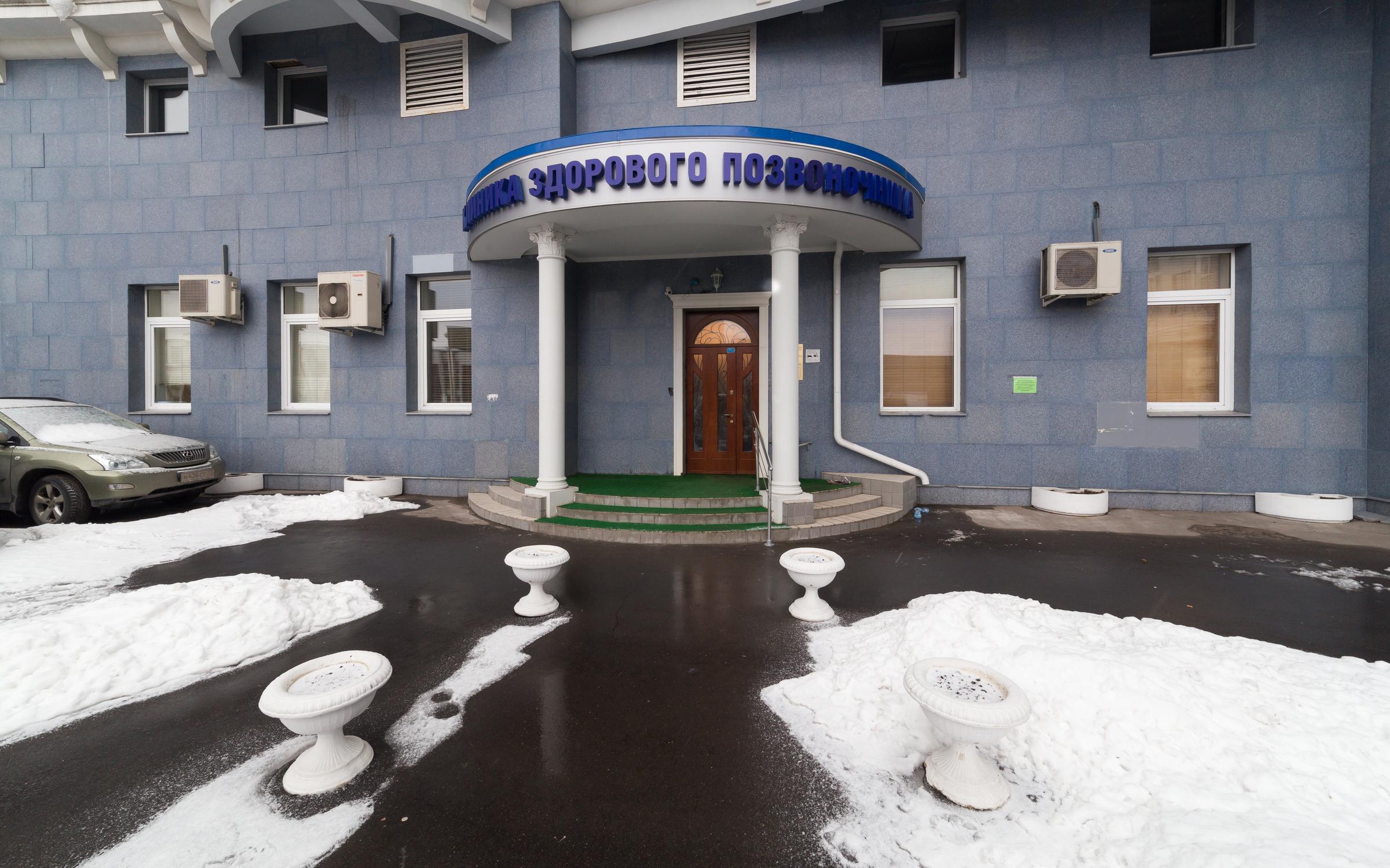 Календарь посадок хвойных