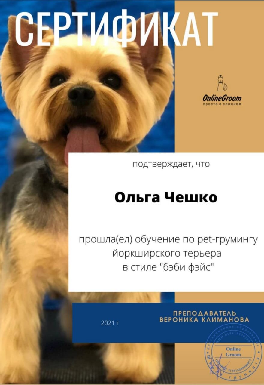 Ольга Чешко