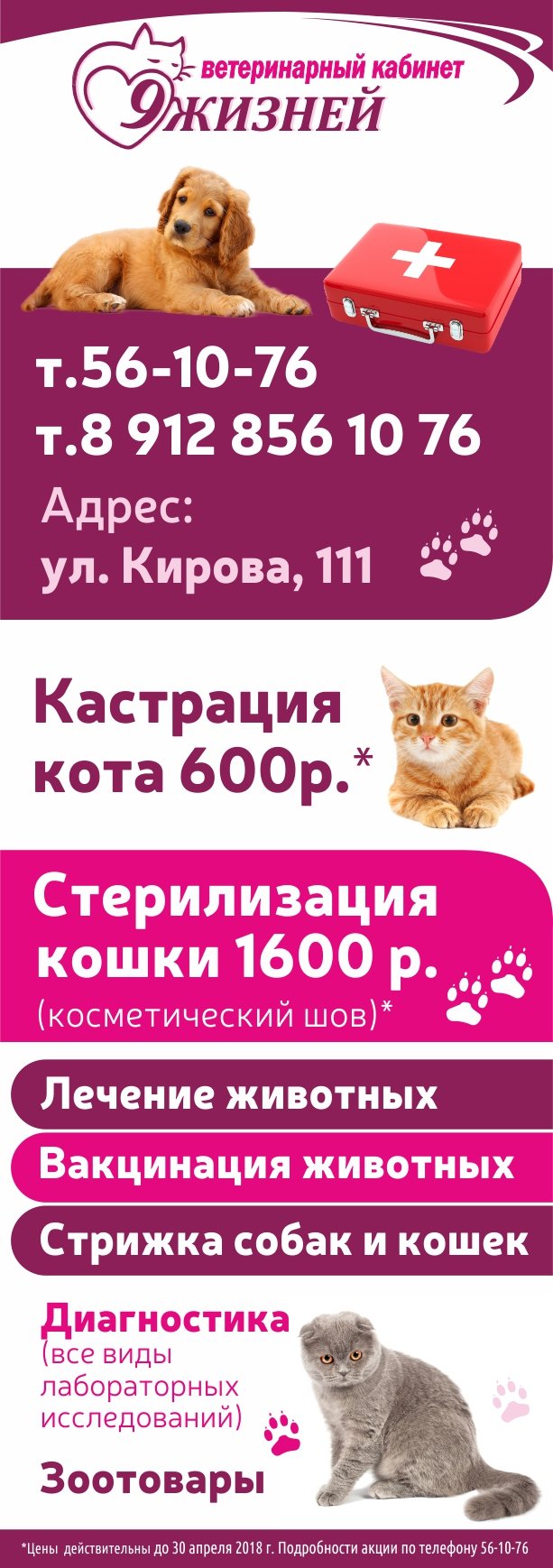 Вызов врача-ветеринара на дом в Ижевске – Ветеринар на дом: 21 ветеринарная  клиника, 568 отзывов, фото – Zoon.ru