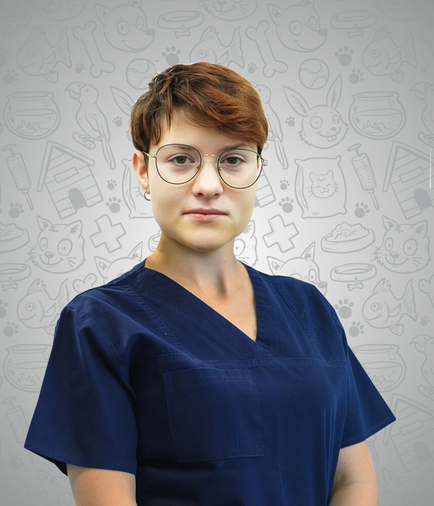 Софья Шипилова