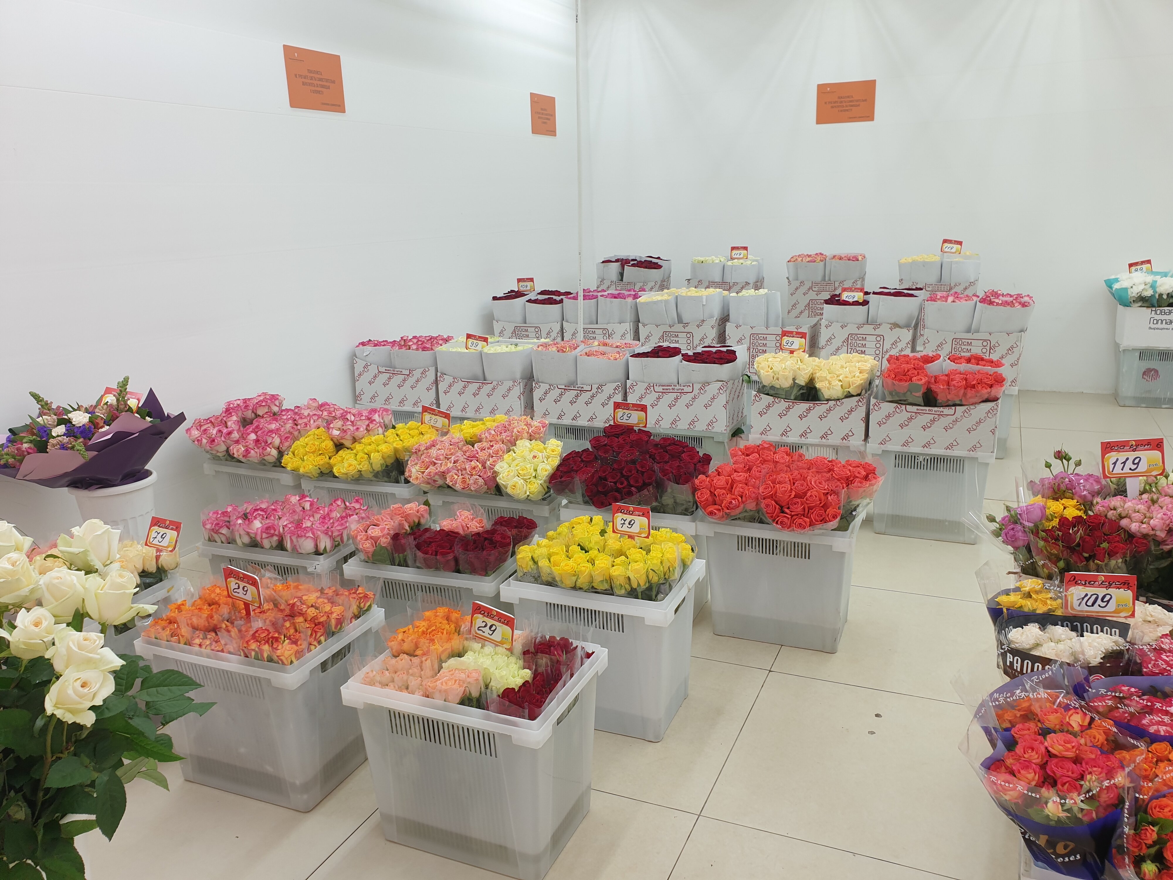 Доставка цветов недорого цветочная база