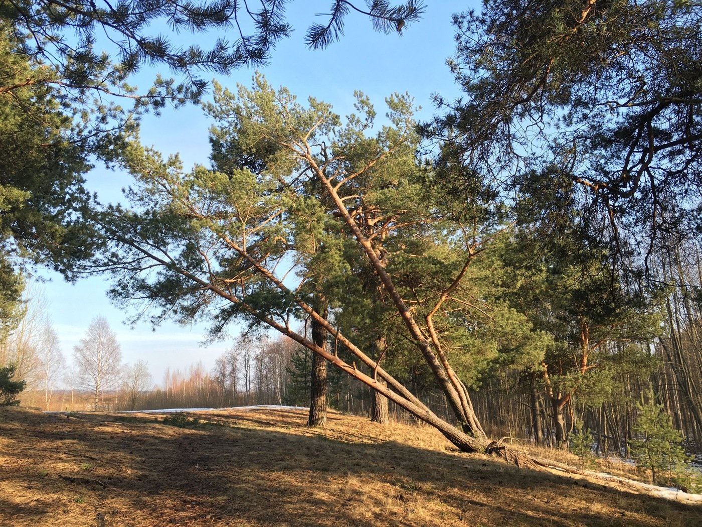 Строительные компании в Ново-Переделкино рядом со мной на карте – рейтинг,  цены, фото, телефоны, адреса, отзывы – Москва – Zoon.ru