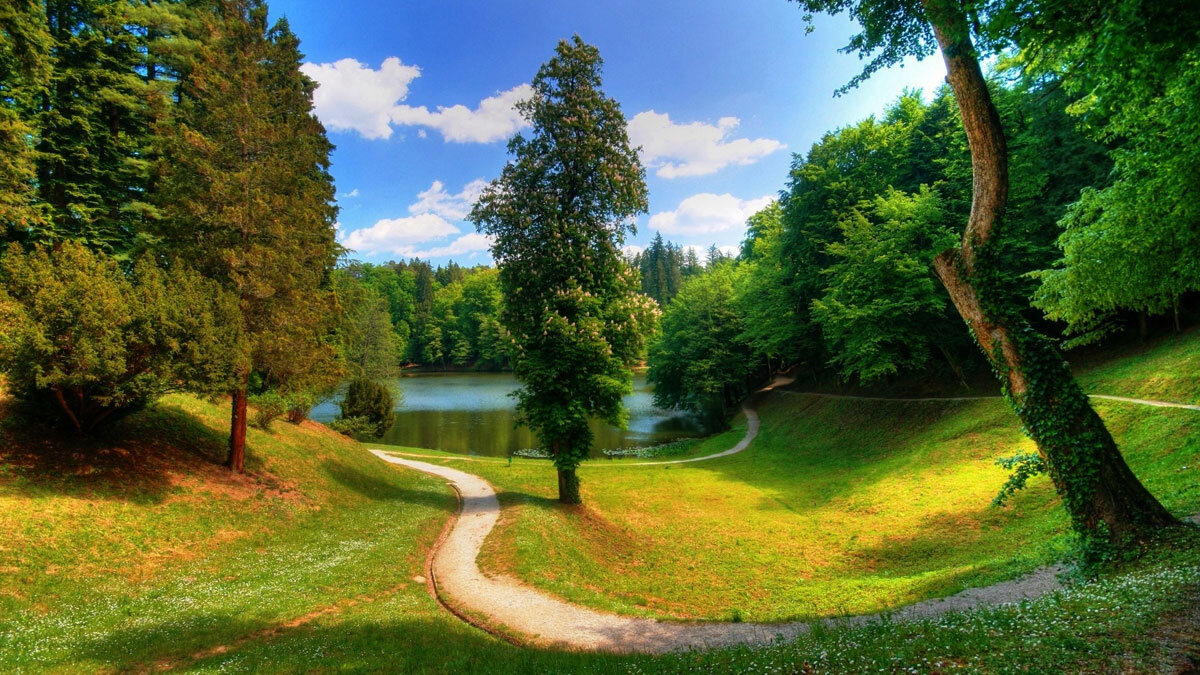 Все заведения в Кулаковом переулке - телефоны, фотографии, отзывы - Москва  - Zoon.ru