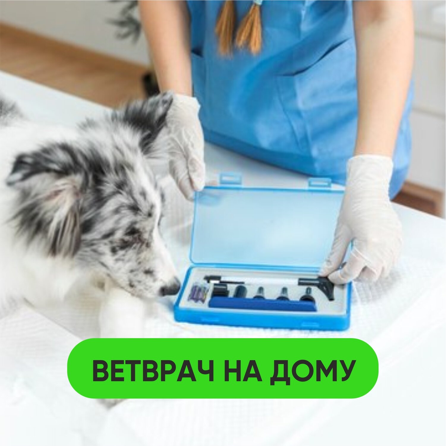 Александра Понамарева