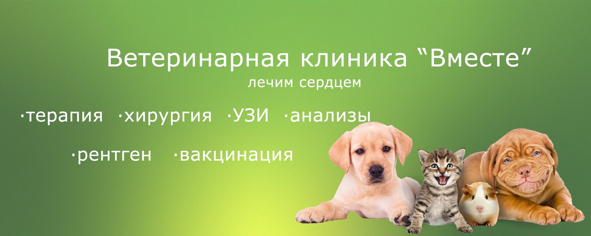 Стрижка когтей у собак на Василеостровской – Подстричь когти собаке: 6  ветеринарных клиник, 64 отзыва, фото – Санкт-Петербург – Zoon.ru