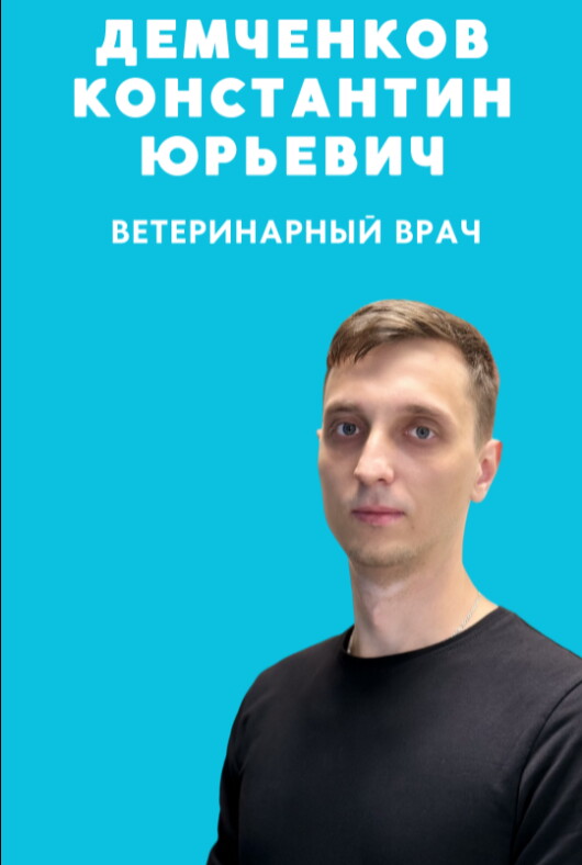 Константин Юрьевич Демченко