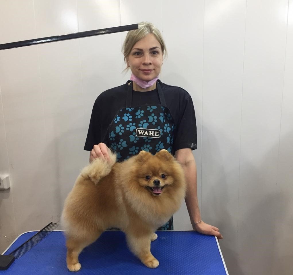 Екатерина Валерьевна Соколова