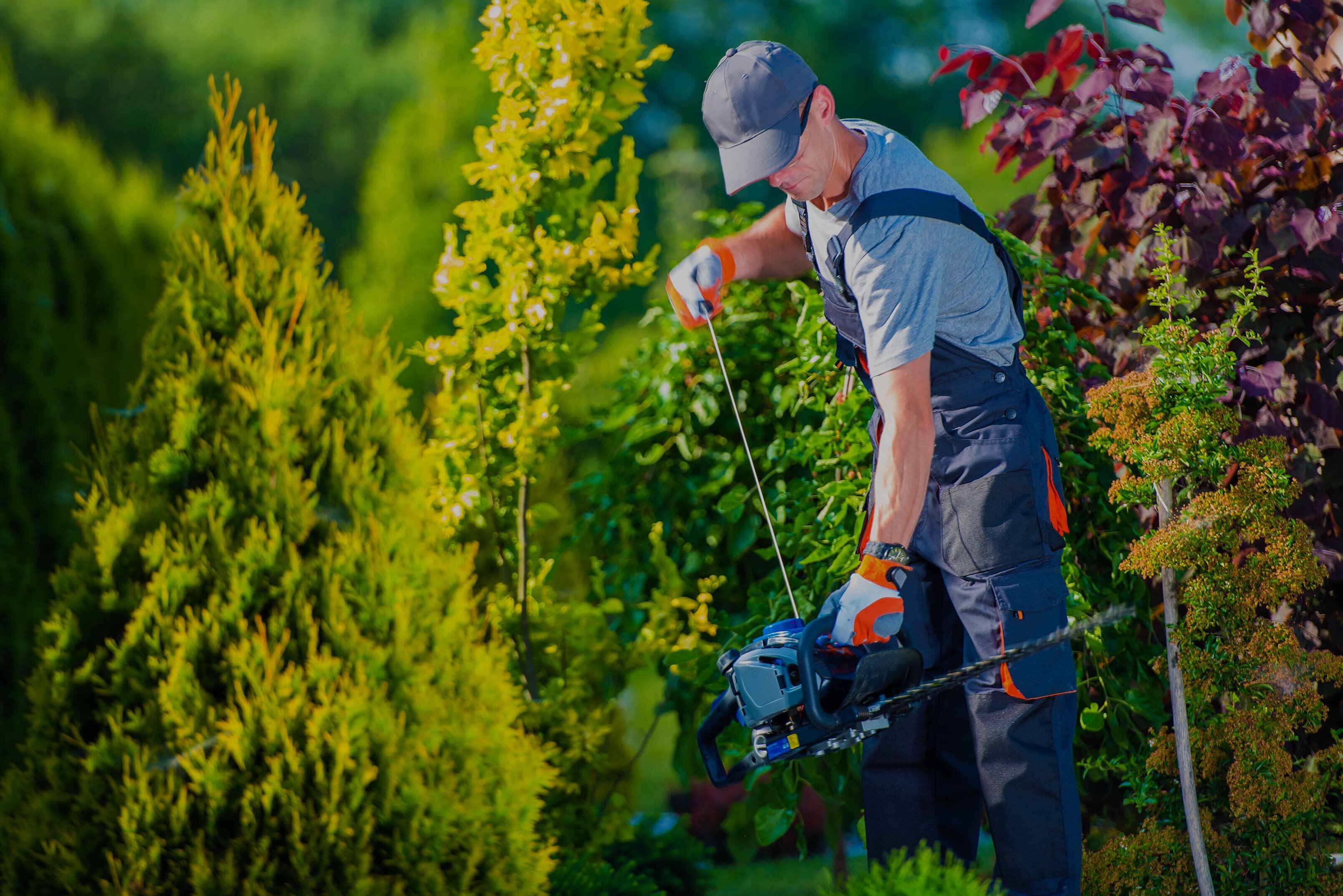 Обслуживание участков. Обслуживание участка. Gardener Full view. Цены на обслуживание участка.