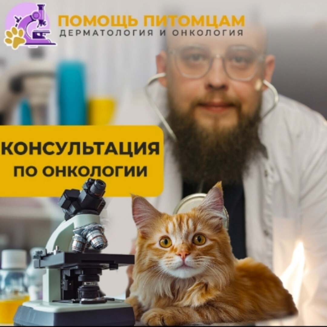 Сергей Сергеевич Щепетов