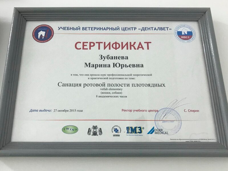 синий крест невинномысск бульвар мира. ветлечебница альтернатива волжский. ветеринарная клиника альтернатива волжский. ветлечебница невинномысск. ветеринарная аптека моздок.