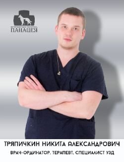 Никита Александрович Тряпичкин