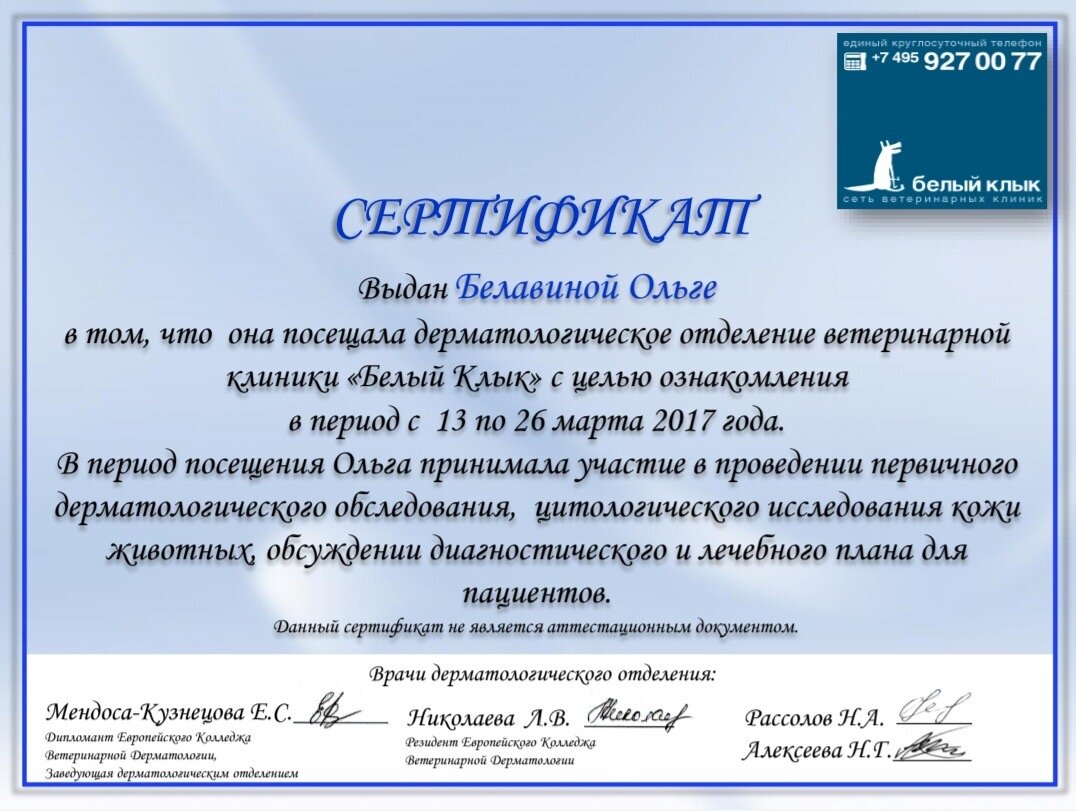 Белавина Ольга Васильевна – ветеринар, ветеринарный врач-дерматолог,  ветеринарный онколог – 11 отзывов о ветеринаре – Ярославль – Zoon.ru