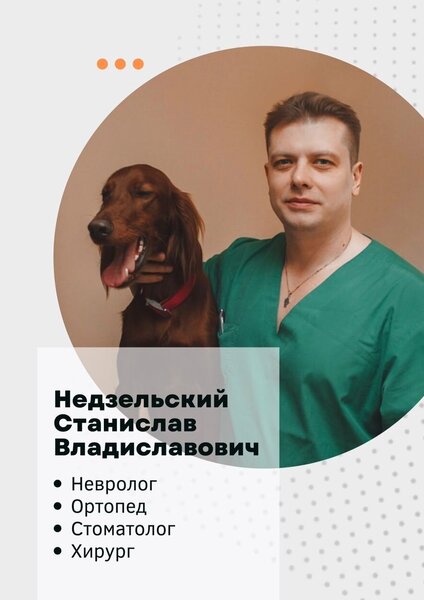 Станислав Владиславович Недзельский