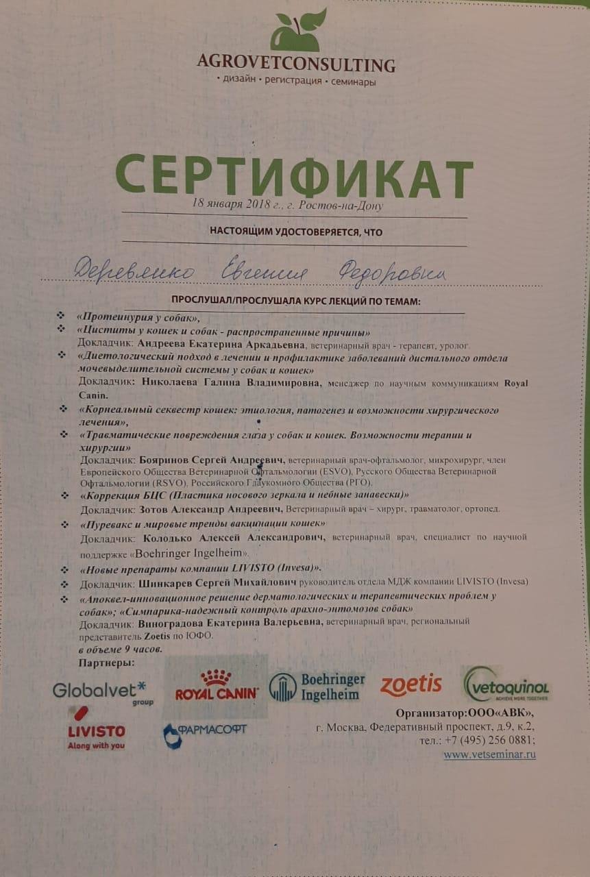 Деревянко Евгения Федоровна – ветеринар, ветеринарный онколог, ветеринарный  хирург – 65 отзывов о ветеринаре – Ростов-на-Дону – Zoon.ru