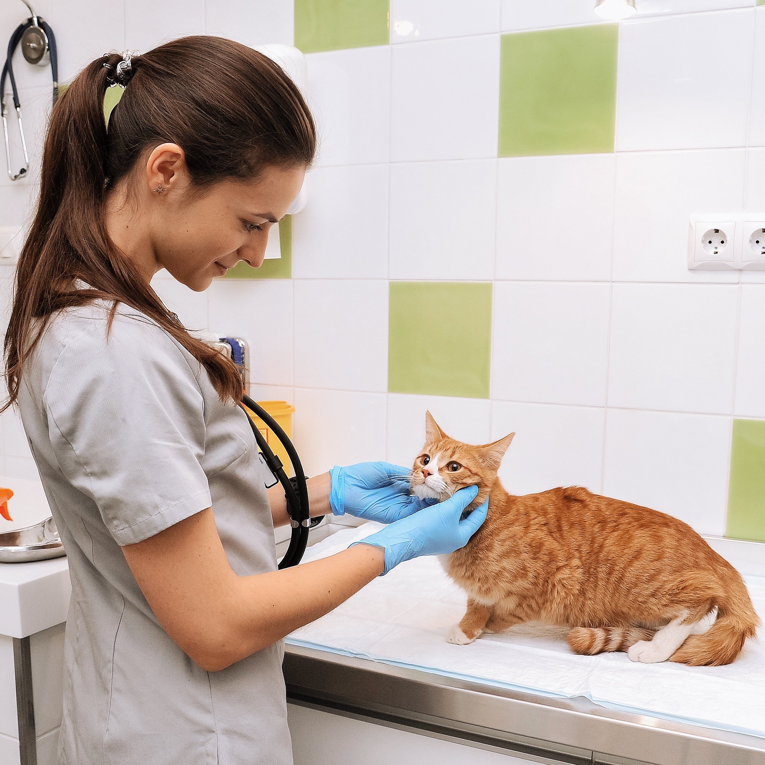 централизованное стерилизационное отделение (цсо). стерилизационное отделение цсо. автоклав стационарный. стерилизация волгоград. стерилизация волгоград.