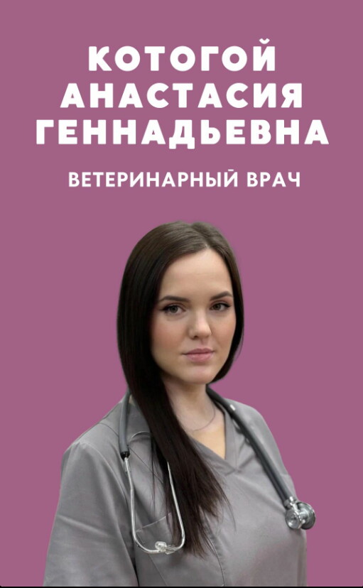 Анастасия Геннадьевна Котогой