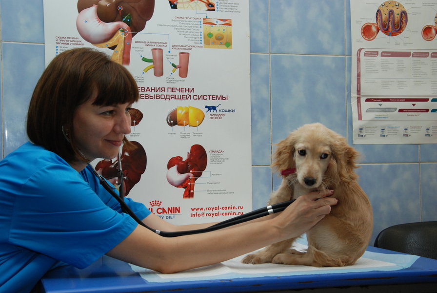 Нина Александровна Даркевич