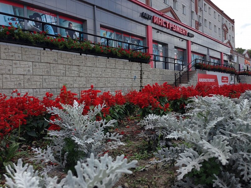 Проститутки Благовещенск Амурская Белочки