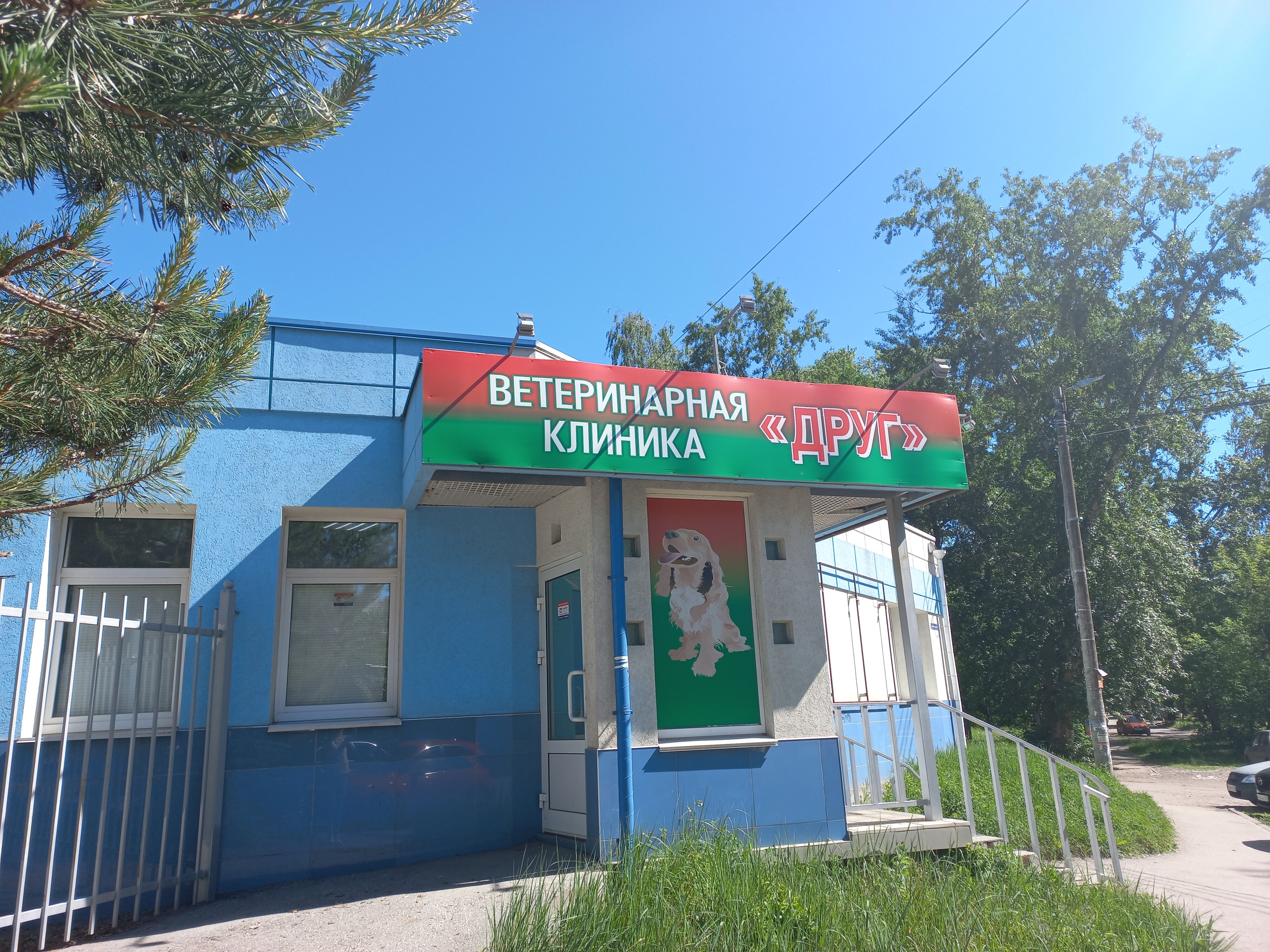 ветеринар ветеринарная клиника в чертаново южное. ветеринарная клиника друг нижний новгород. ветклиника друг на борисенко. советской армии, 17а. ветклиника друг нижний новгород.