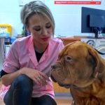 Оксана Александровна Ришко