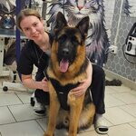 Анастасия Журбина