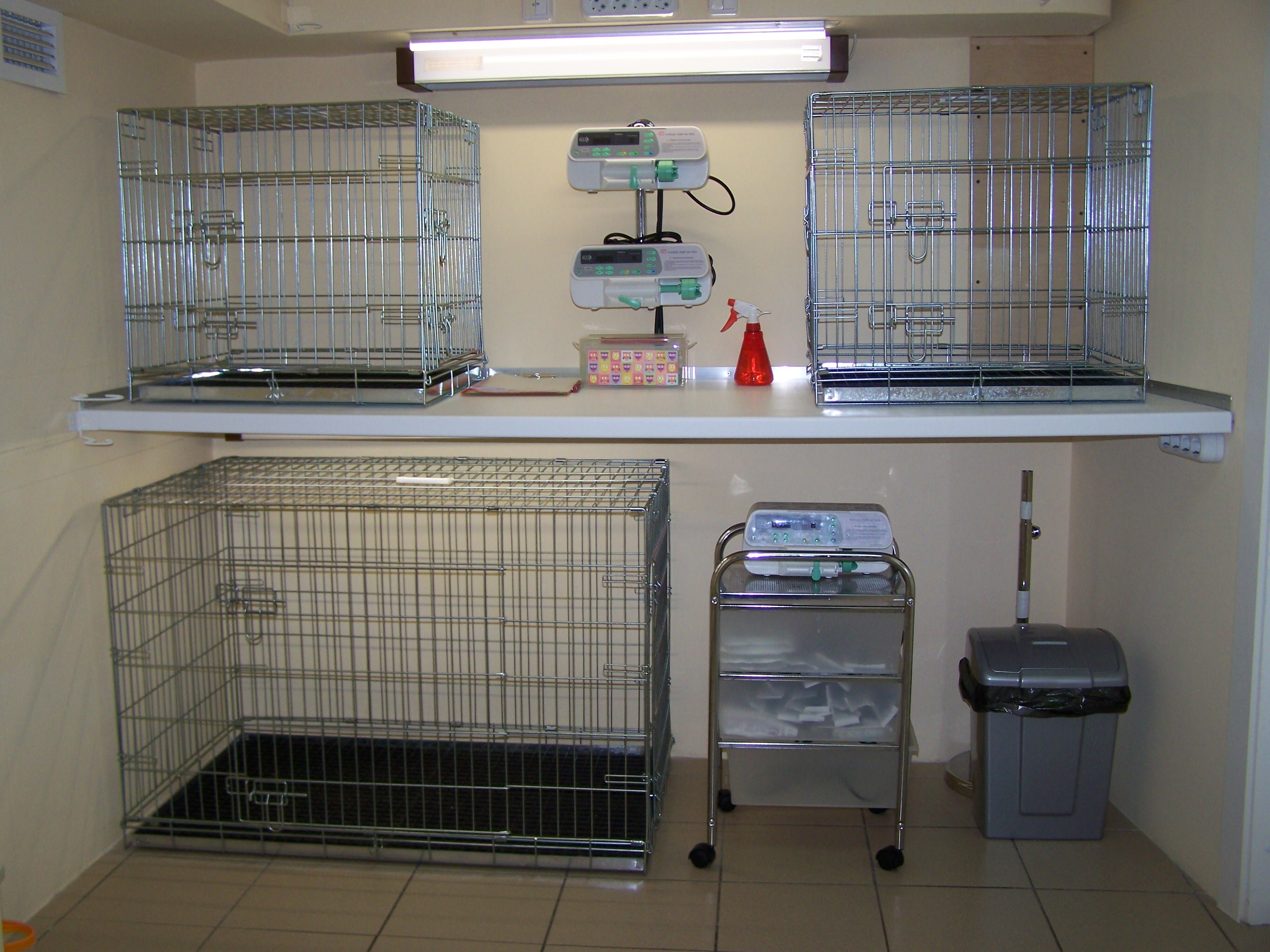 Альфа ветклиника жуковский. Ветклиника на купчинской. Горветстанция спб. Альфа ветклиника жуковский. Ветеринарная на будапештской.