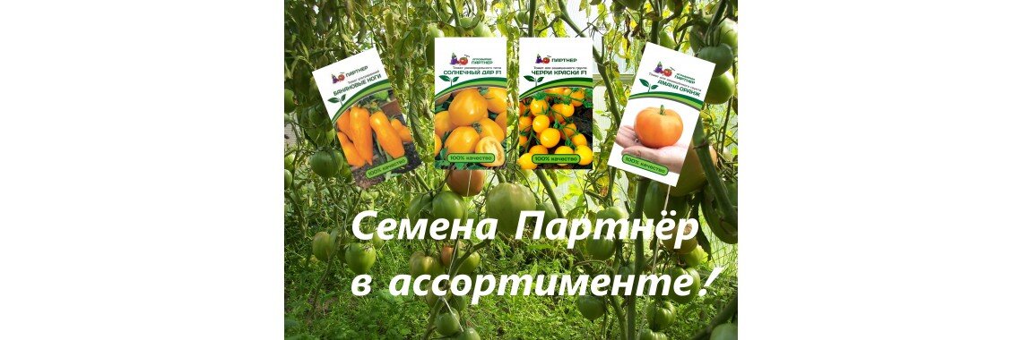 Интернет магазин семена садовник. Виват томат. Виват томат магазин. Продают ли в торговом центре Гагаринский семена томатов.