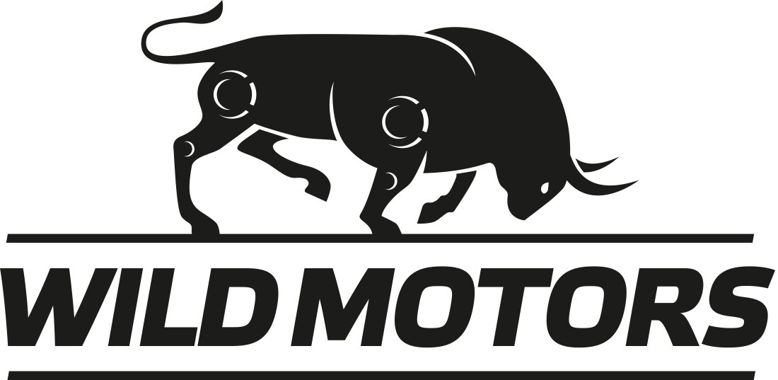 Вайлд моторс. Мотокросс ярославль. Wild motors. Афиша мотомероприятия. Логотип питбайка.