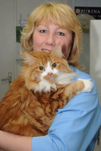 Марина Владимировна Новикова