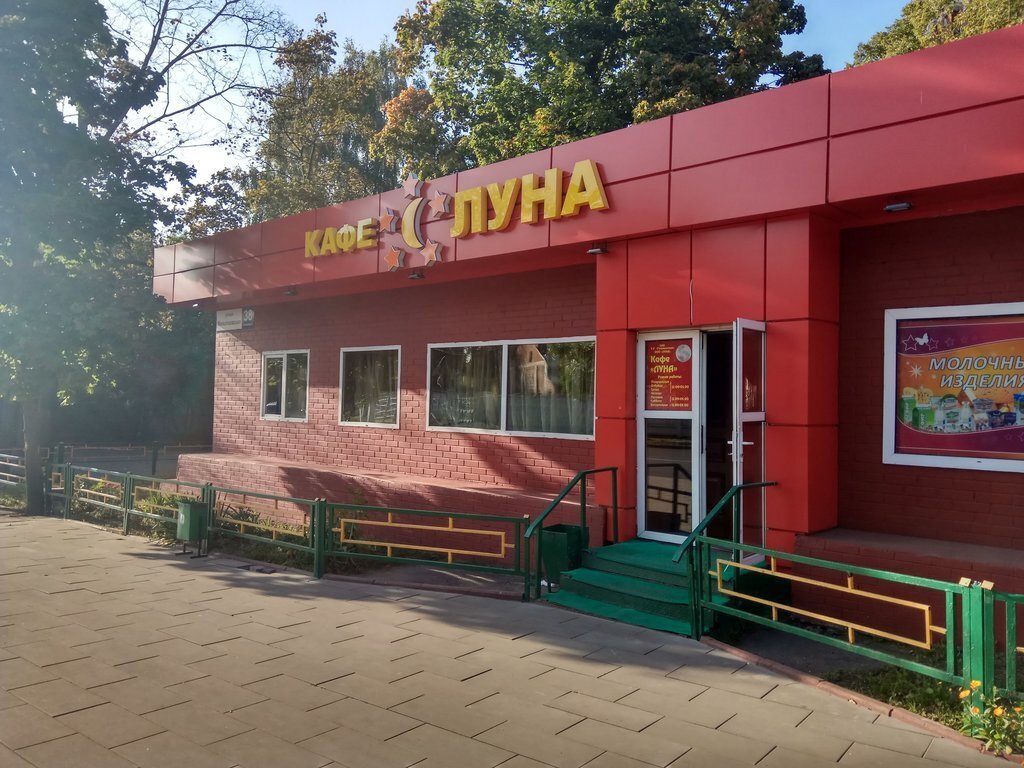 Митишина