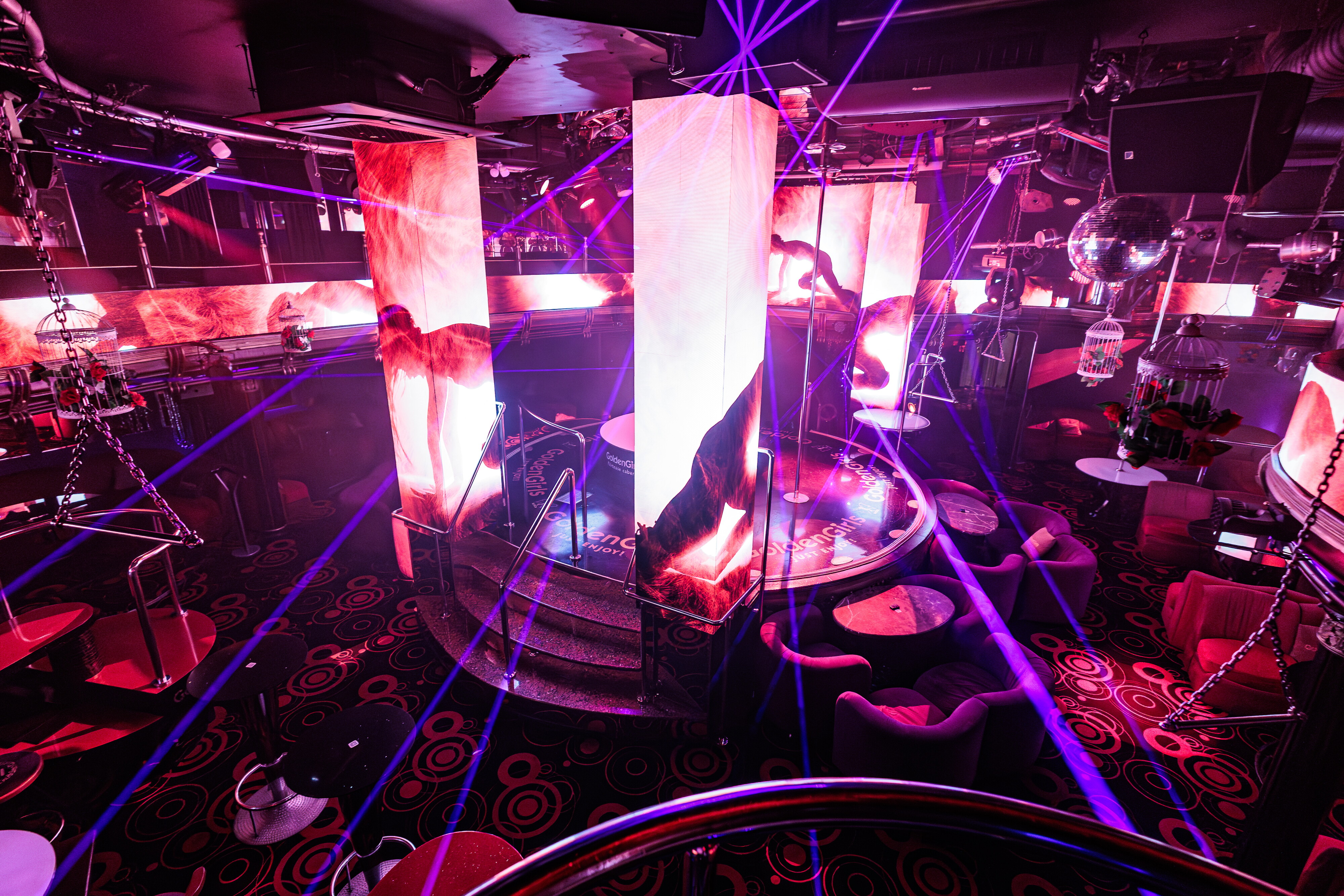 Түкті семіз есектердің фотосуреттері