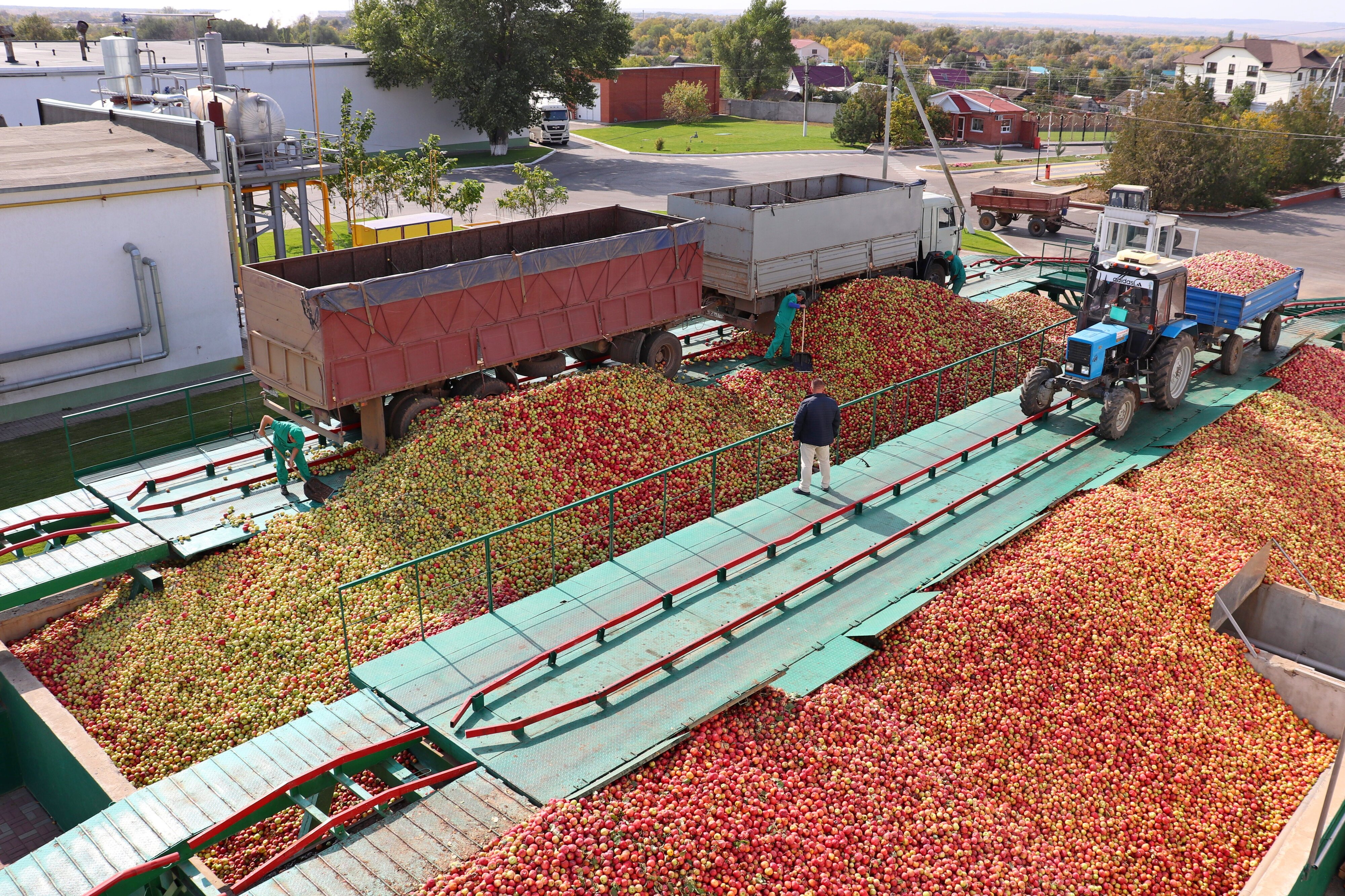 Магазины молочных продуктов на площади Карла Маркса рядом со мной – Купить  молочку: 136 магазинов на карте города, 114 отзывов, фото – Новосибирск –  Zoon.ru