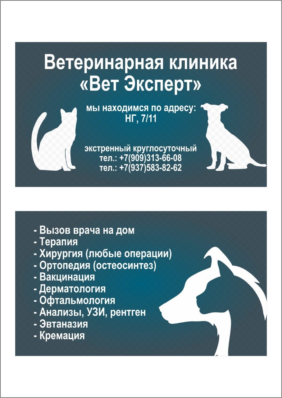 Лучшие ветеринарные клиники Набережных Челнов рядом со мной на карте –  рейтинг, цены, фото, телефоны, адреса, отзывы – Zoon.ru