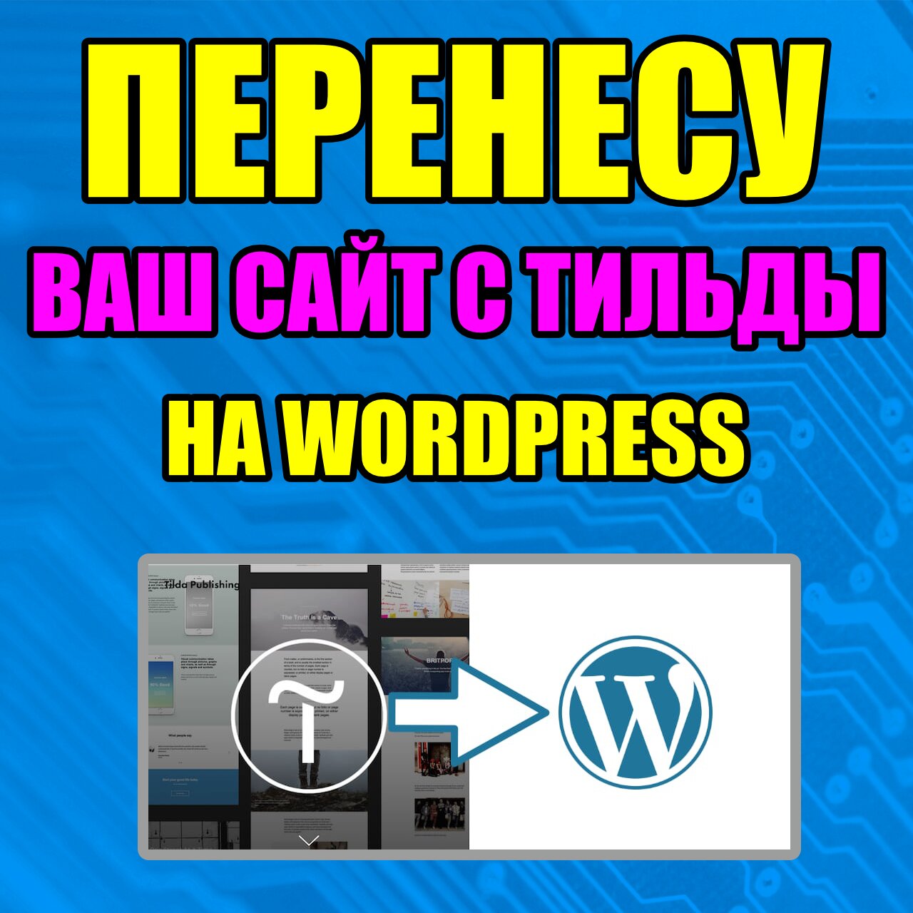 SEO-агентства в Уфе: адреса и телефоны, 65 интернет-компаний, 87 отзывов,  фото, цены и рейтинг СЕО-компаний – Zoon.ru