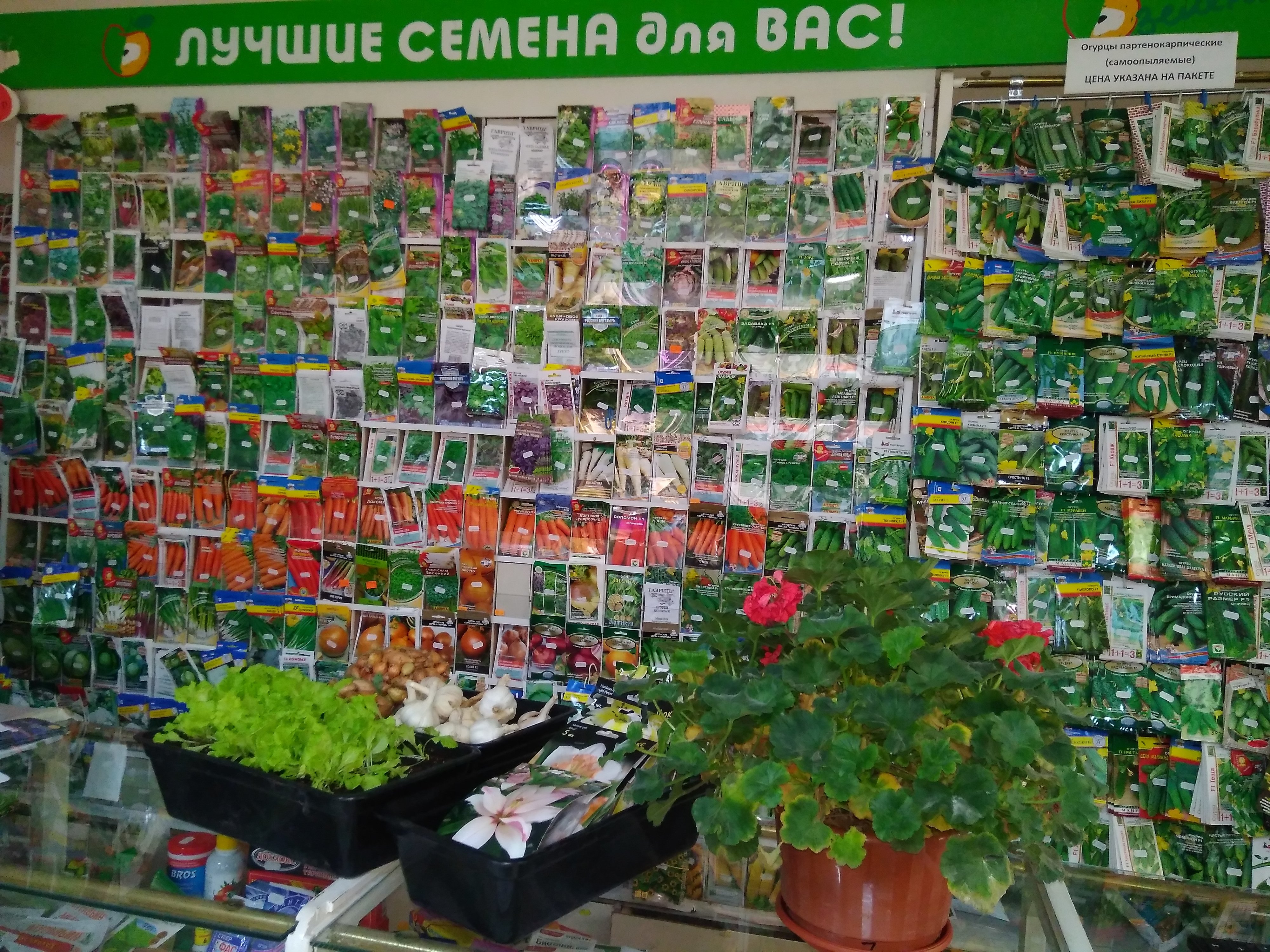 Магазин Семян Недорого