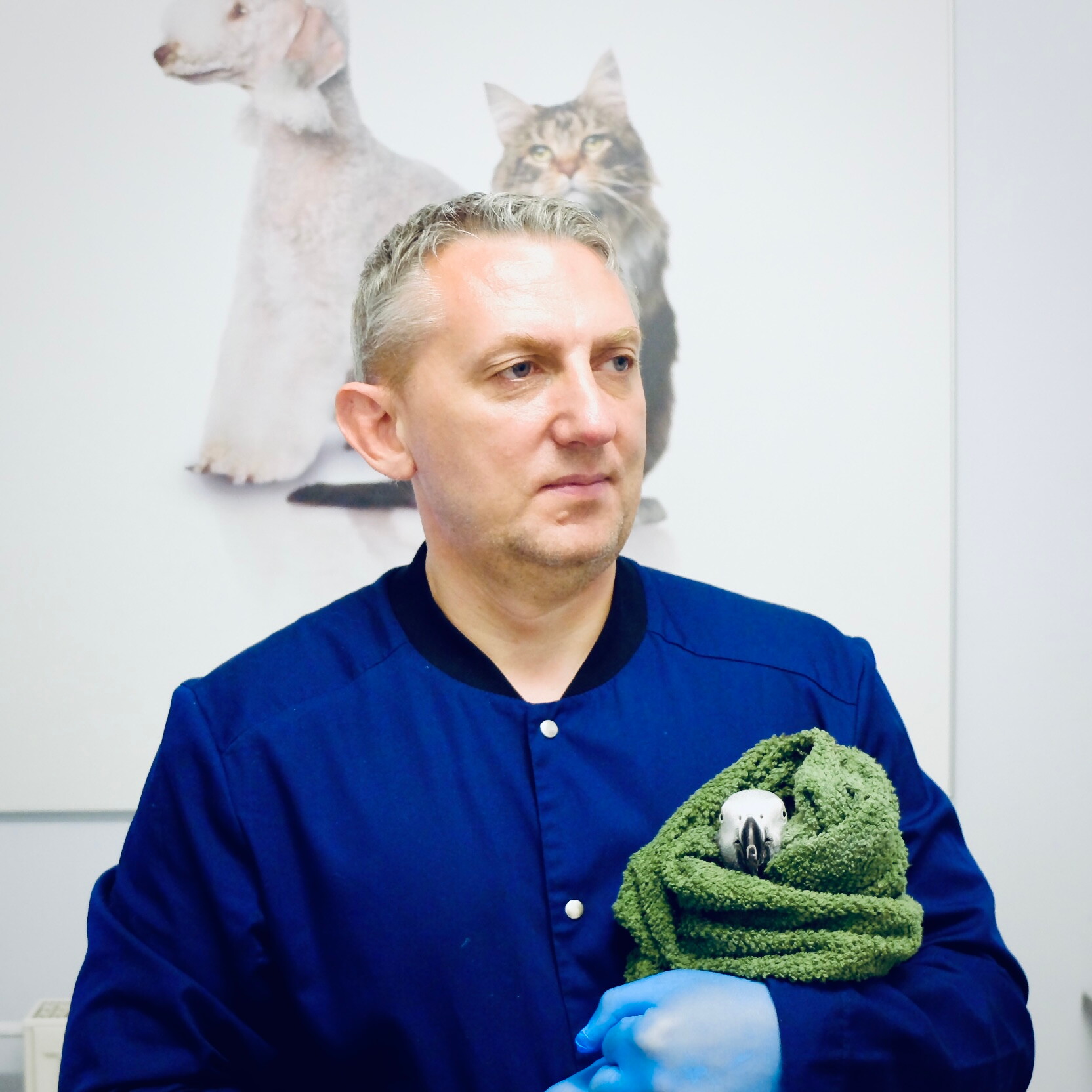 Владимир Владимирович Чугуевский