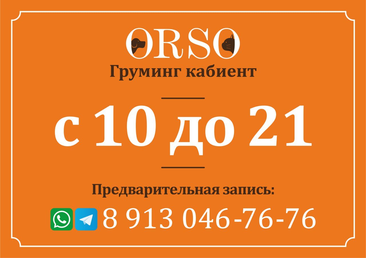 Центры по уходу за животными в Красноярске: цена от 50 руб. – Уход за  питомцем: 149 ветеринарных клиник, 1148 отзывов, фото – Zoon.ru