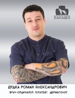 Роман Александрович Дудка