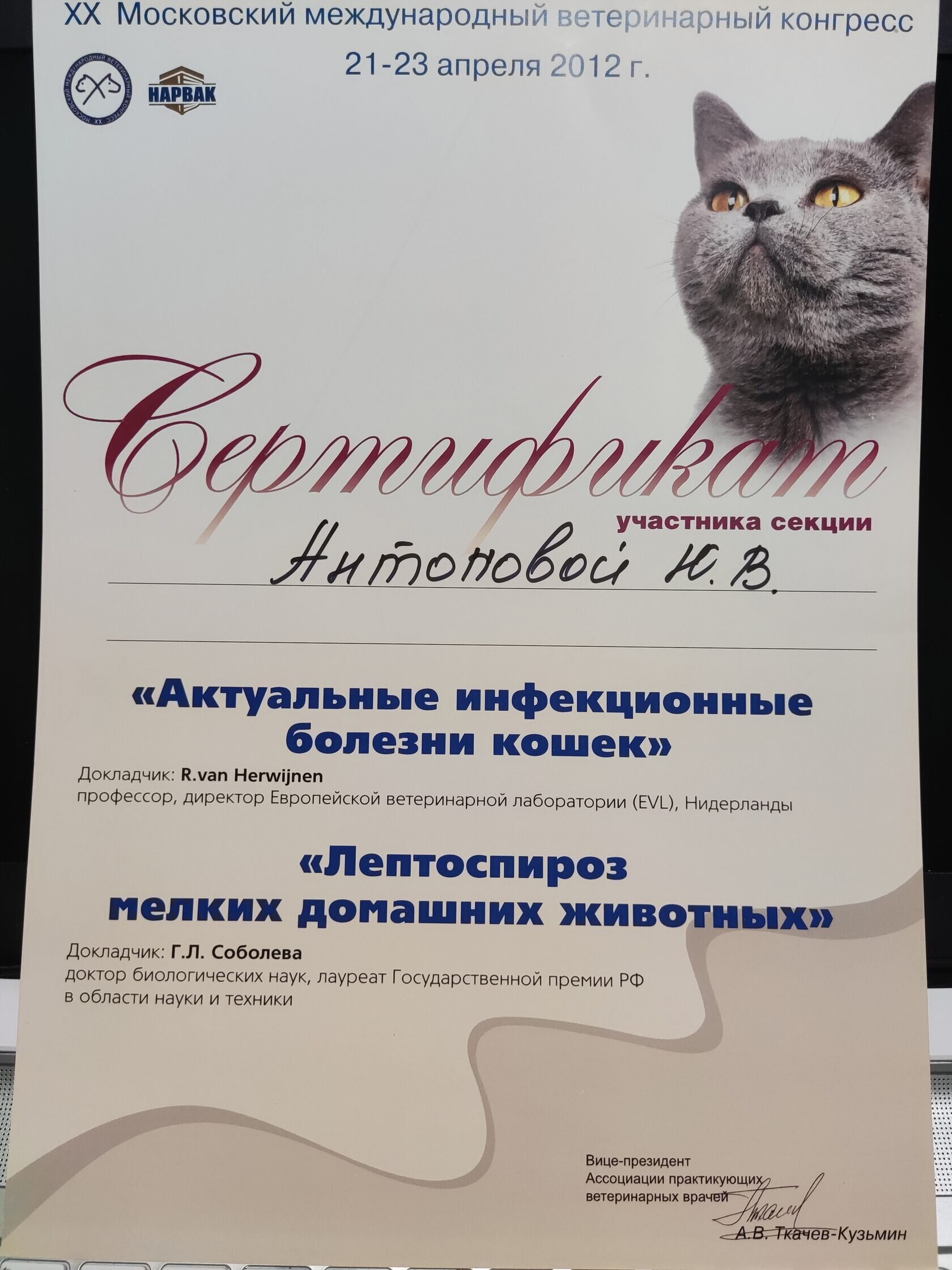 Антонова Юлия Витальевна – ветеринарный врач УЗИ – 2 отзывa о ветеринаре –  Москва – Zoon.ru