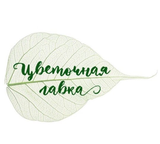 Детки Интернет Магазин Петергоф