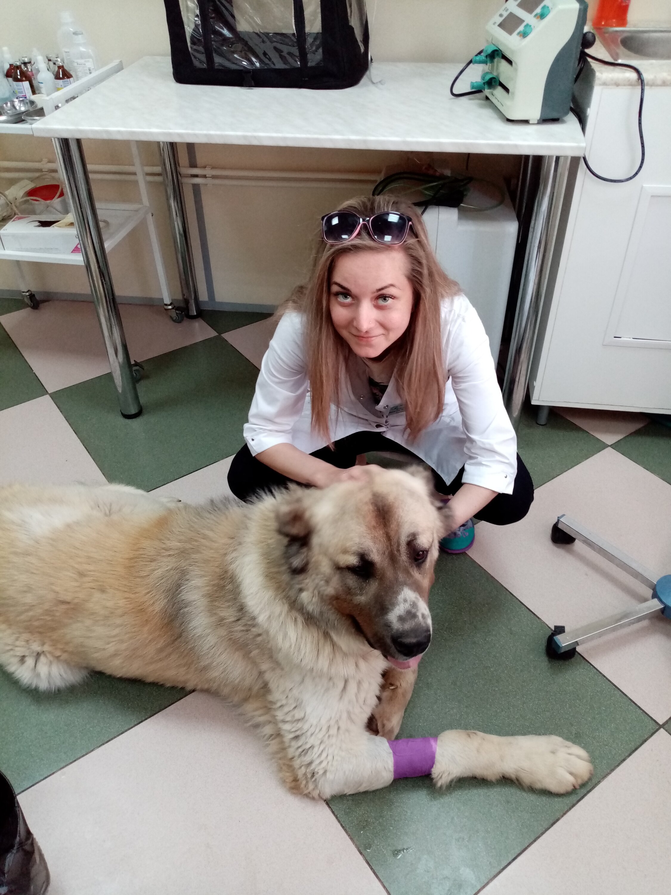 Евгения Владимировна Колесникова