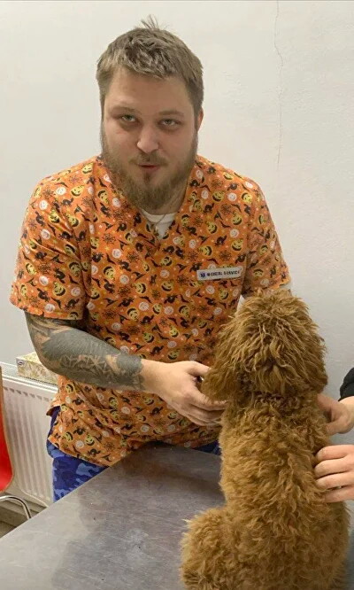 Александр Вячеславович Волков