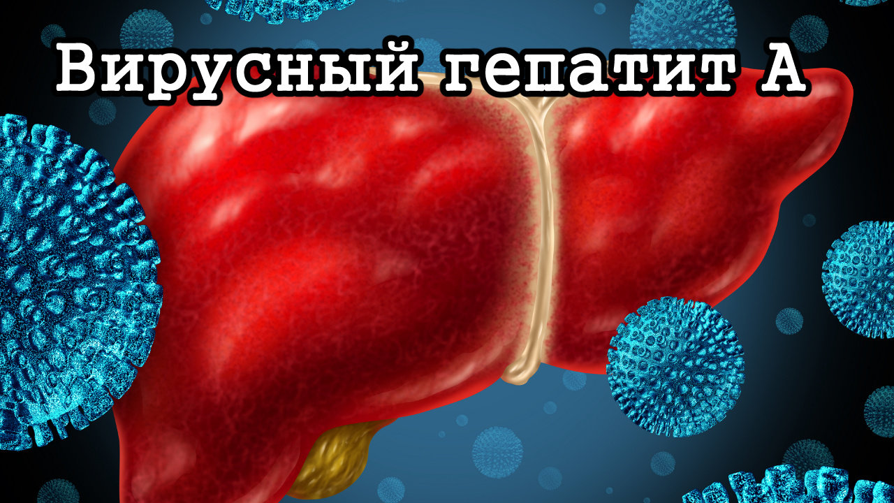 Вирусный гепатит A – что это за болезнь, 💉 лечение, симптомы и 🔬  диагностика на МЕД Zoon