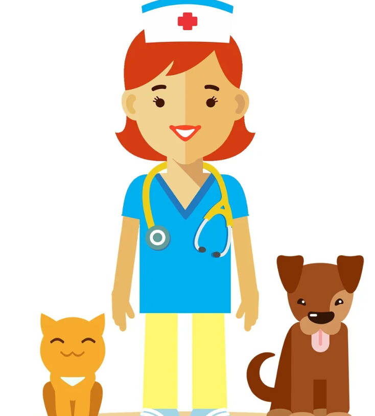 Елена Гречина