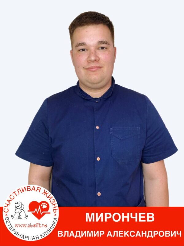 Владимир Александрович Мирончев