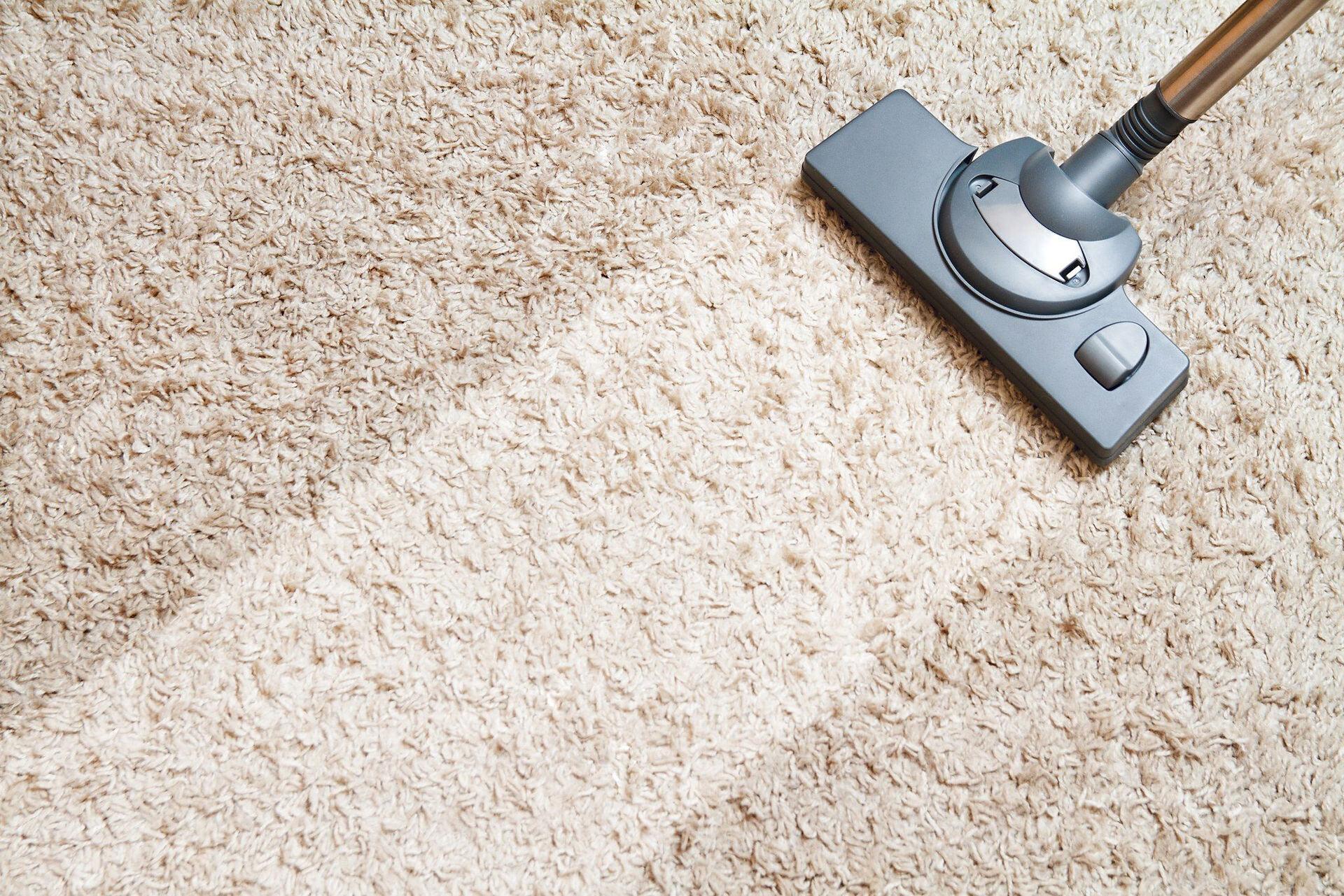 Carpet Dry clean для ковров